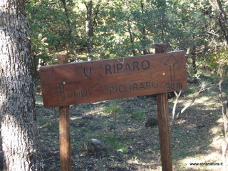 Demanio monte Crisimo